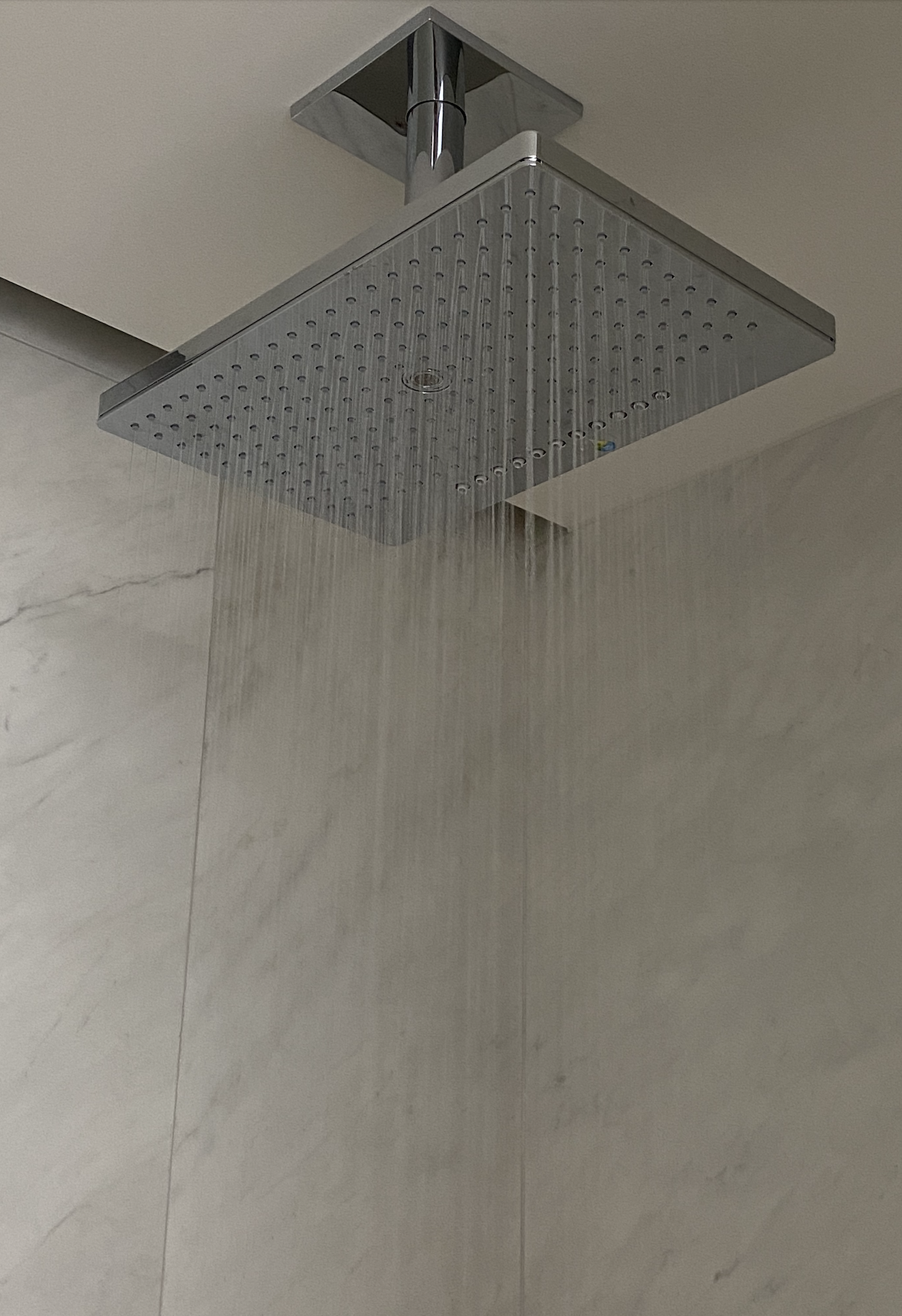Hansgrohe shower head
